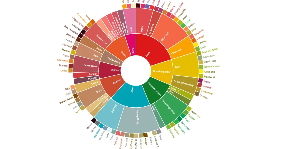 咖啡風味輪深度應用與專業品鑑紀錄指南：系統化感官訓練的基石