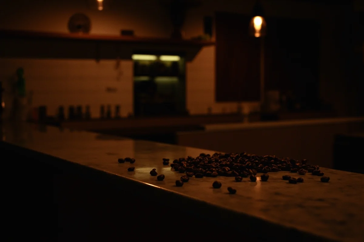 開普敦｜Rosetta Roastery, Cape Town — 咖啡地圖