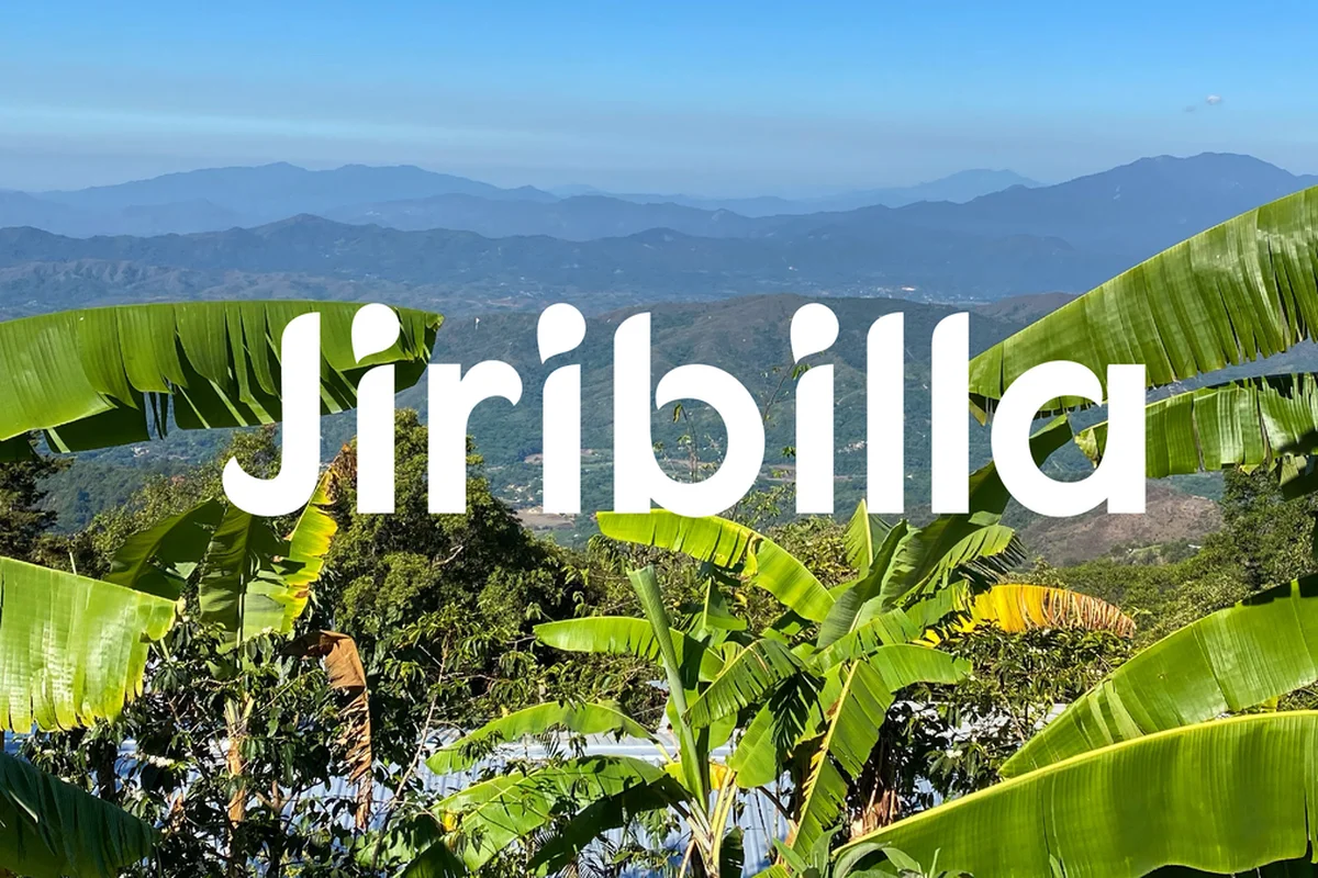 墨西哥城｜Café con Jiribilla, Mexico City — 咖啡地圖