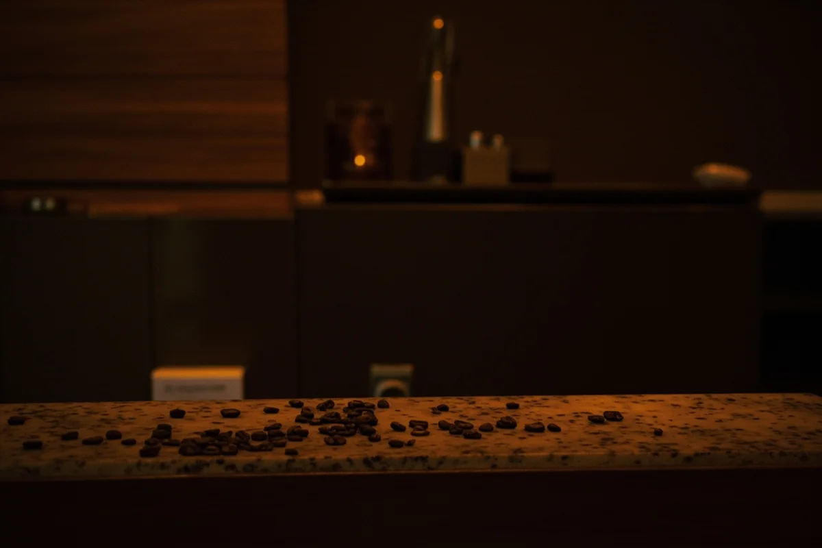 蒙特婁｜Dispatch Coffee, Montréal — 咖啡地圖