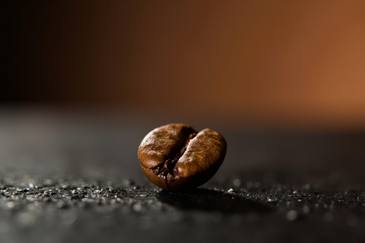 咖啡杯測場景與樣品排列