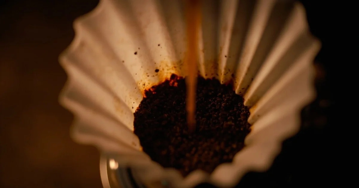 V60 濾杯溝槽設計的科學：為什麼螺旋肋骨能提升咖啡排氣效率？